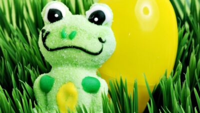 edible frog