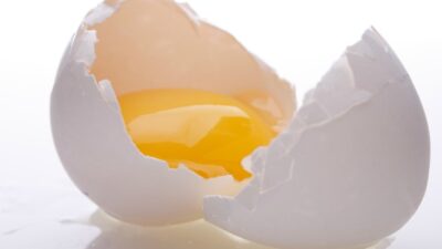 egg safety