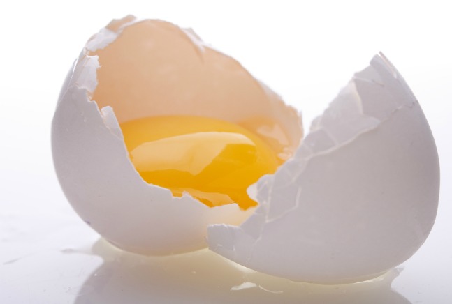 egg safety
