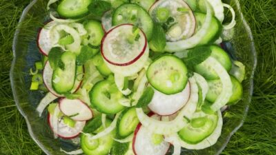 Fennel and Cucumber Salad