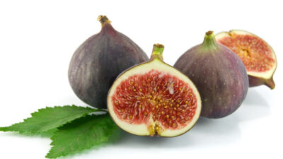 Fig