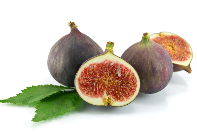 Fig