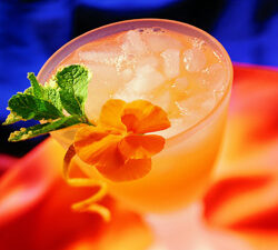 Florida Spritzer