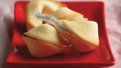 Fortune Cookies