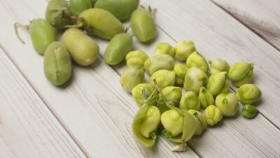 fresh garbanzo beans