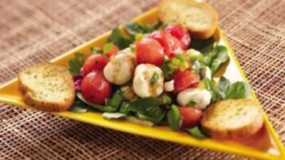 Fresh Mozzarella Watermelon Salad with Purple Basil