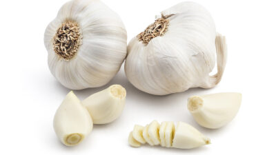 Garlic