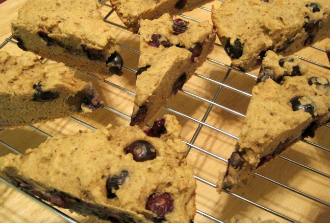 gluten free blueberry scones