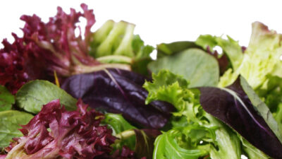 Grilled Lettuce Salad