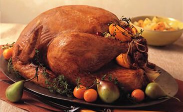 Harvest Turkey