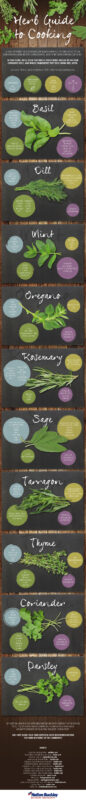 HerbCookingInfographic
