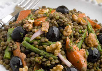 Herbed Salmon Lentils