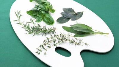Herbs