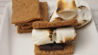 Homemade Graham Crackers for Smores