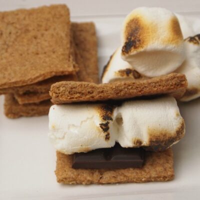 Homemade Graham Crackers for Smores