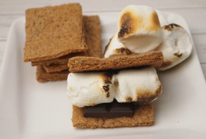 Homemade Graham Crackers for Smores