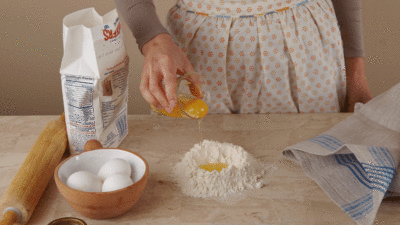 homemade ravioli animated