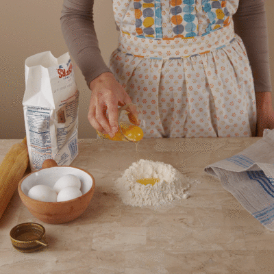 homemade ravioli animated