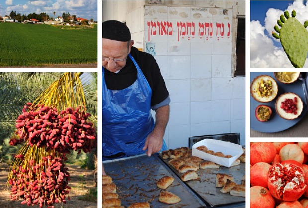 israel pic main