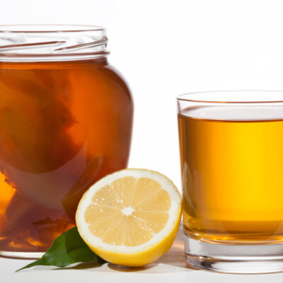 Kombucha Starter - DIY homemade kombucha
