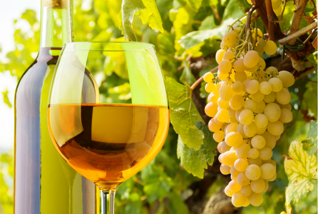 kosher white wine recommendations