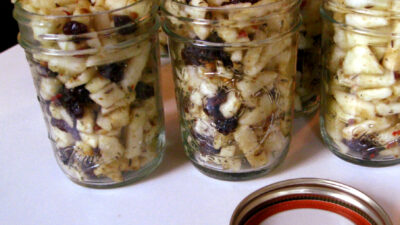 FERMENTED APPLE SALSA