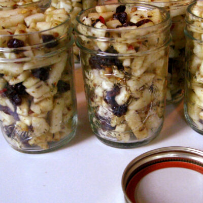 FERMENTED APPLE SALSA