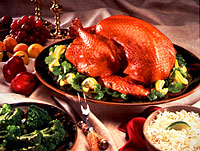 Lemon-Garlic Roasted Turkey