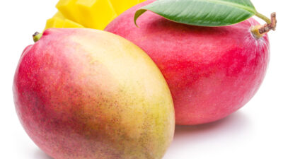 mango soup