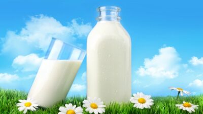 milk