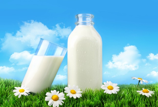 milk