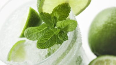 mojito