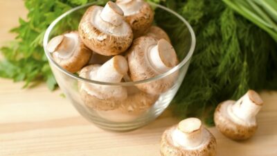 mushroom