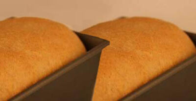 oat-y-licious wheat bread
