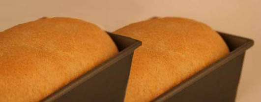 oat-y-licious wheat bread