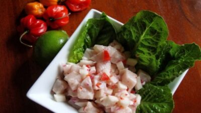 panamanian ceviche