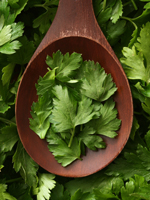 Parsley Sauce with Extra Virgin Olive Oil