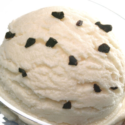 parve-ice-cream-with-chocolate-chips