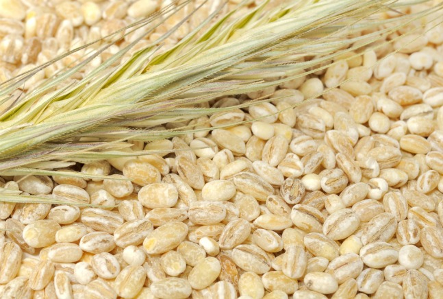 pearled barley