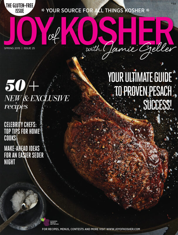 Pesach 2015 Magazine cover