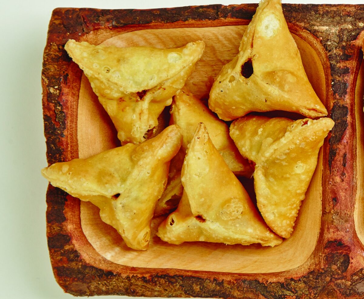Pulled Beef Wontons