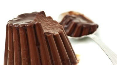 pumpkin chocolate panna cotta