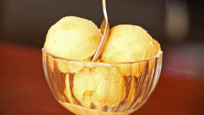 Pumpkin Ice Cream 647