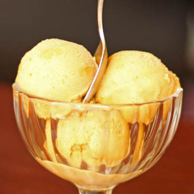 Pumpkin Ice Cream 647