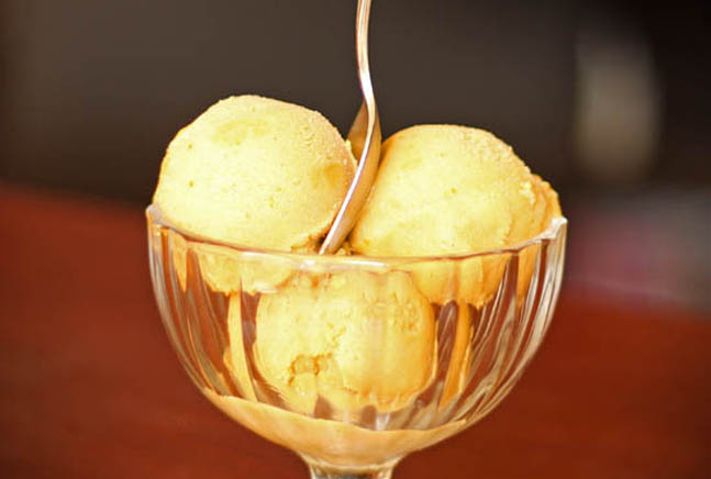 Pumpkin Ice Cream 647