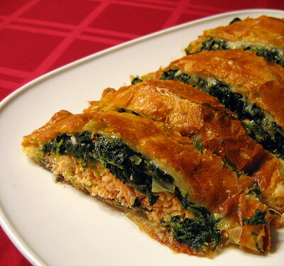 salmon-encroute