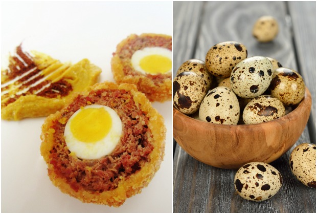 scotch quail eggs