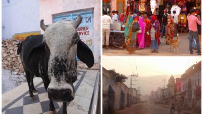 shabbat in India