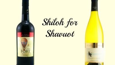 shiloh for shavuot