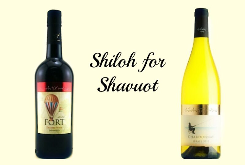 shiloh for shavuot